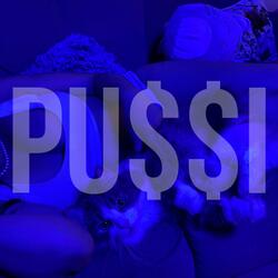 PU$$I
