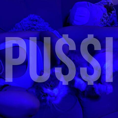 PU$$I