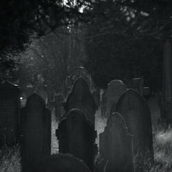 From My Tomb