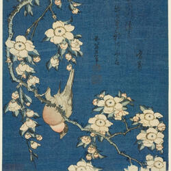 signal (feat. sol.theory & Don Kew)