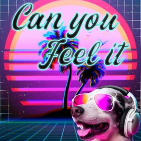 Can You Feel It