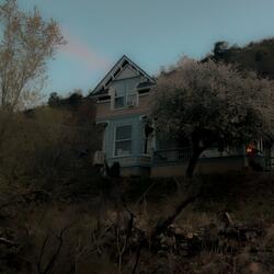 Diverging Summer Paths/Roads