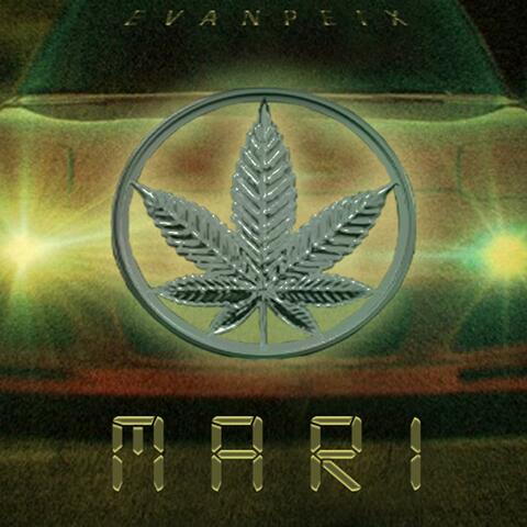 MARI
