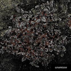 countess