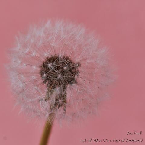 Out of Office (In a Field of Dandelions)