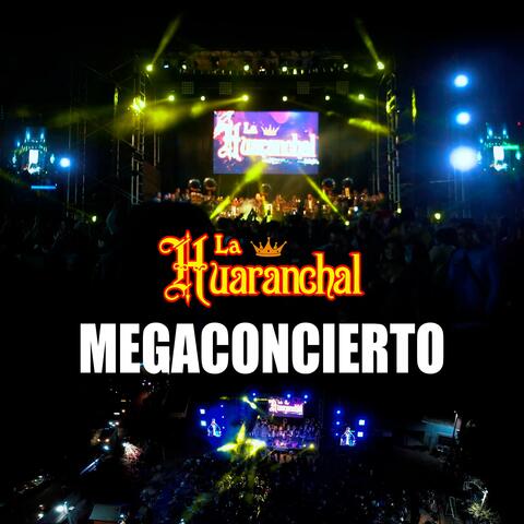 Megaconcierto en Vivo