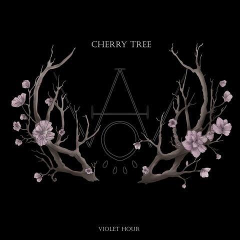 Cherry tree