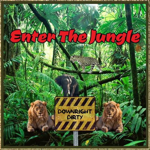 Enter the Jungle