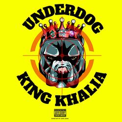 Underdog (feat. Shaq Lee)