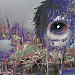 staring