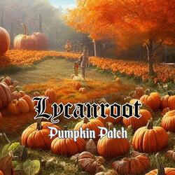 Pumpkin Patch
