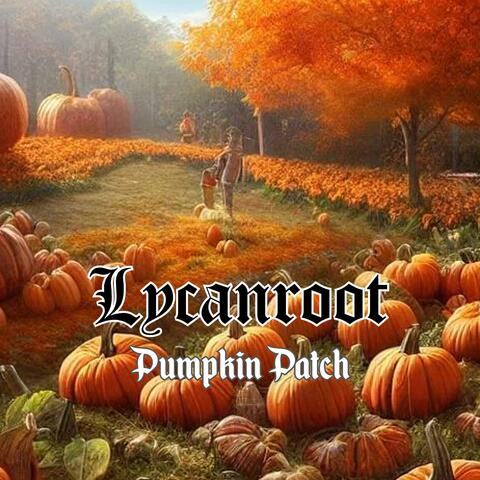 Pumpkin Patch