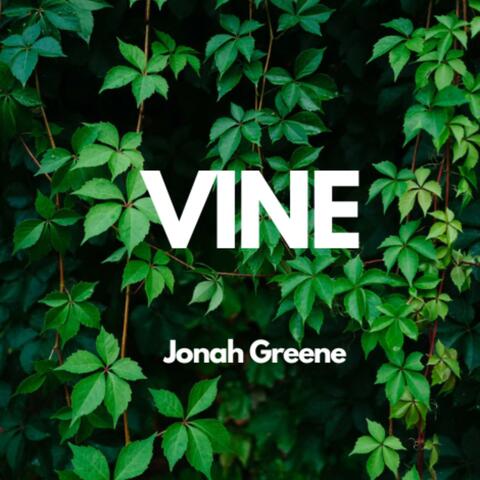 Vine