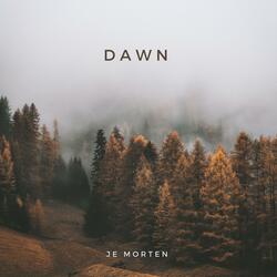 Dawn