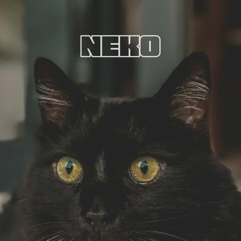 Neko (feat. Noonecarez & J. Canti)