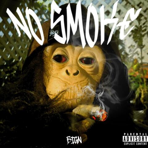 NO SMOKE