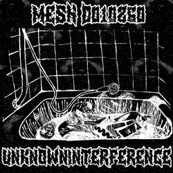 MESH_D010260 (SLXNDXR PROD.)