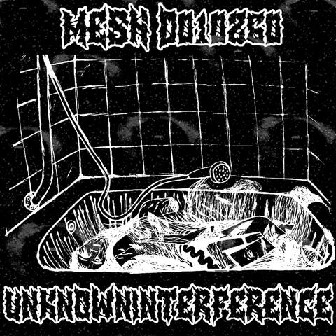 MESH_D010260 (SLXNDXR PROD.)