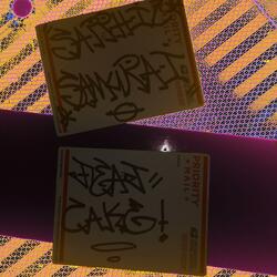 Sapphic Samurai (feat. Cake!)