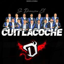 Se divorcio el cuitlacoche