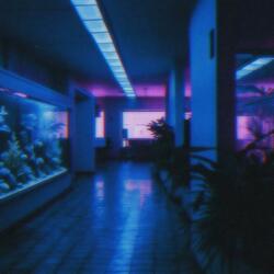 Backrooms Level 43 : Water World
