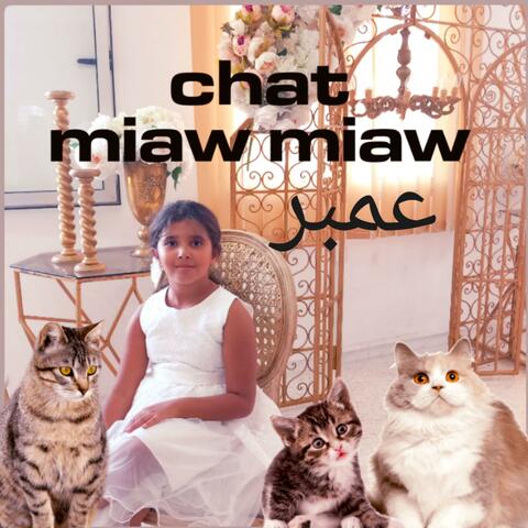 Chat miaw mia (feat. عمبر) [Special Version franco-tunisienne]