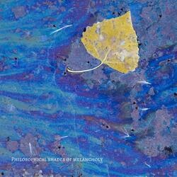 Philosophical Shades of Melancholy II