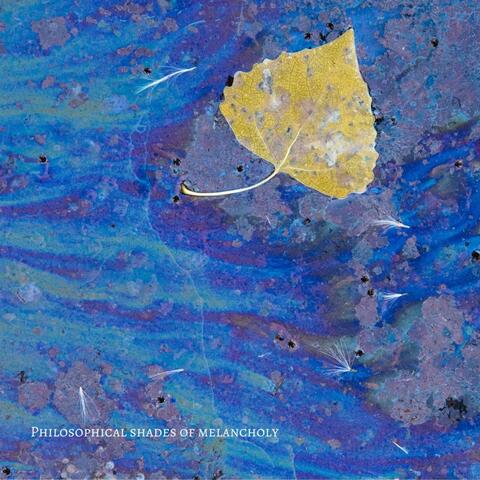 Philosophical Shades of Melancholy II