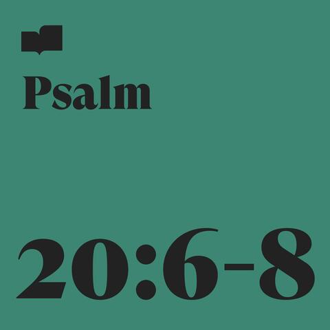 Psalm 20:6-8 (feat. Joel Limpic)