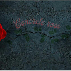 Concrete Rose