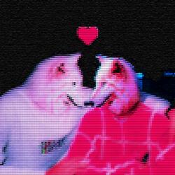 Apocalypse knight's dis !