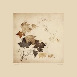 Fall trees