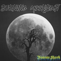 Burning Moonlight