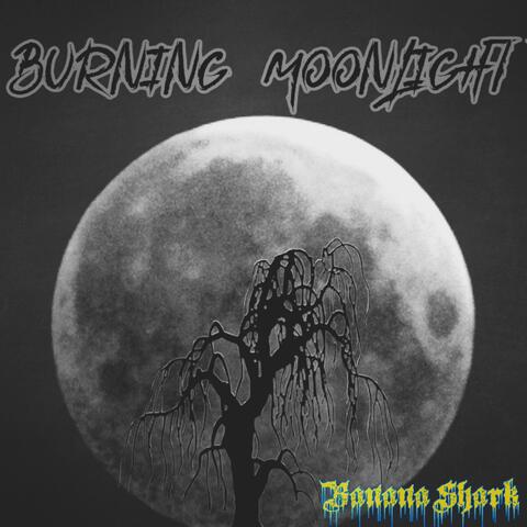 Burning Moonlight (Instrumental)