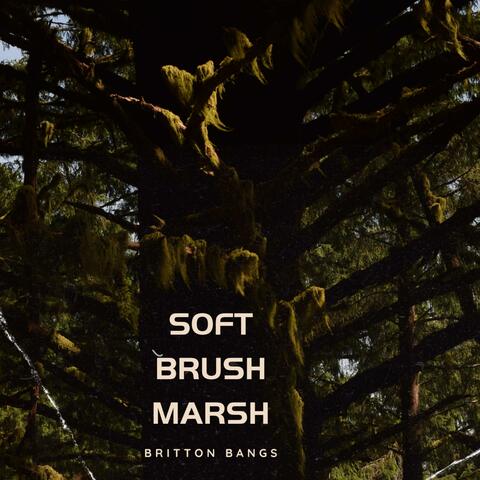 Soft Brush Marsh