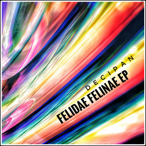 Felidae Felinae EP