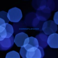 Cornflower
