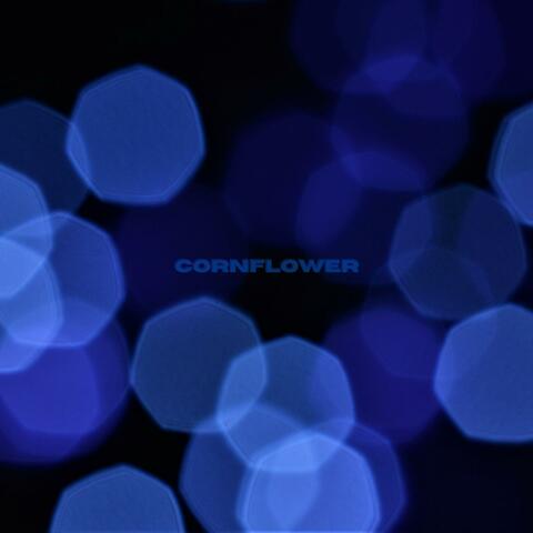Cornflower