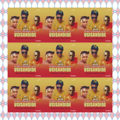 Usingandide (feat. Vybz skweter & Hwindi President ) [Radio Edit]