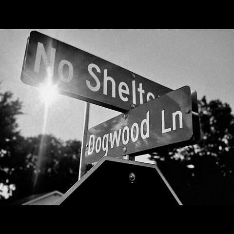 No Shelter//Dogwood Lane Split