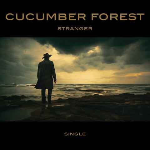 Stranger (feat. Dee)