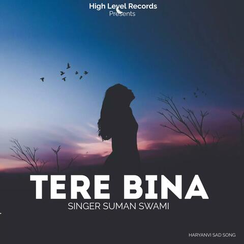 Tere Bina
