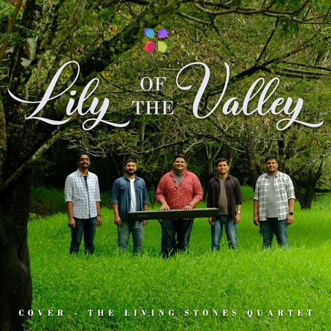 Lily of the Valley