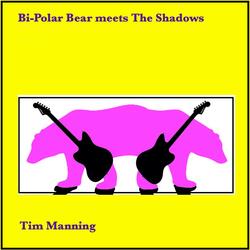 Bi-Polar Bear Meets The Shadows