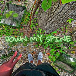 DOWN MY SPINE