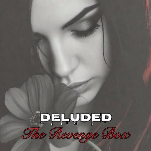 The Revenge Box