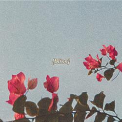 bliss