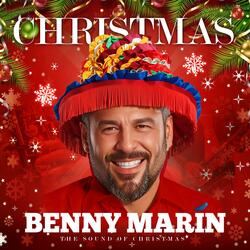 All I Want For Christmas Is You