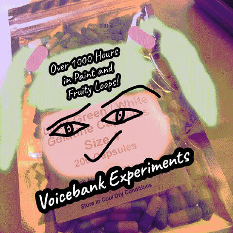 Voicebank Experiments