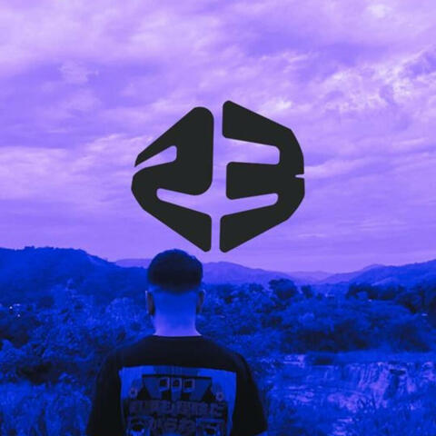 23